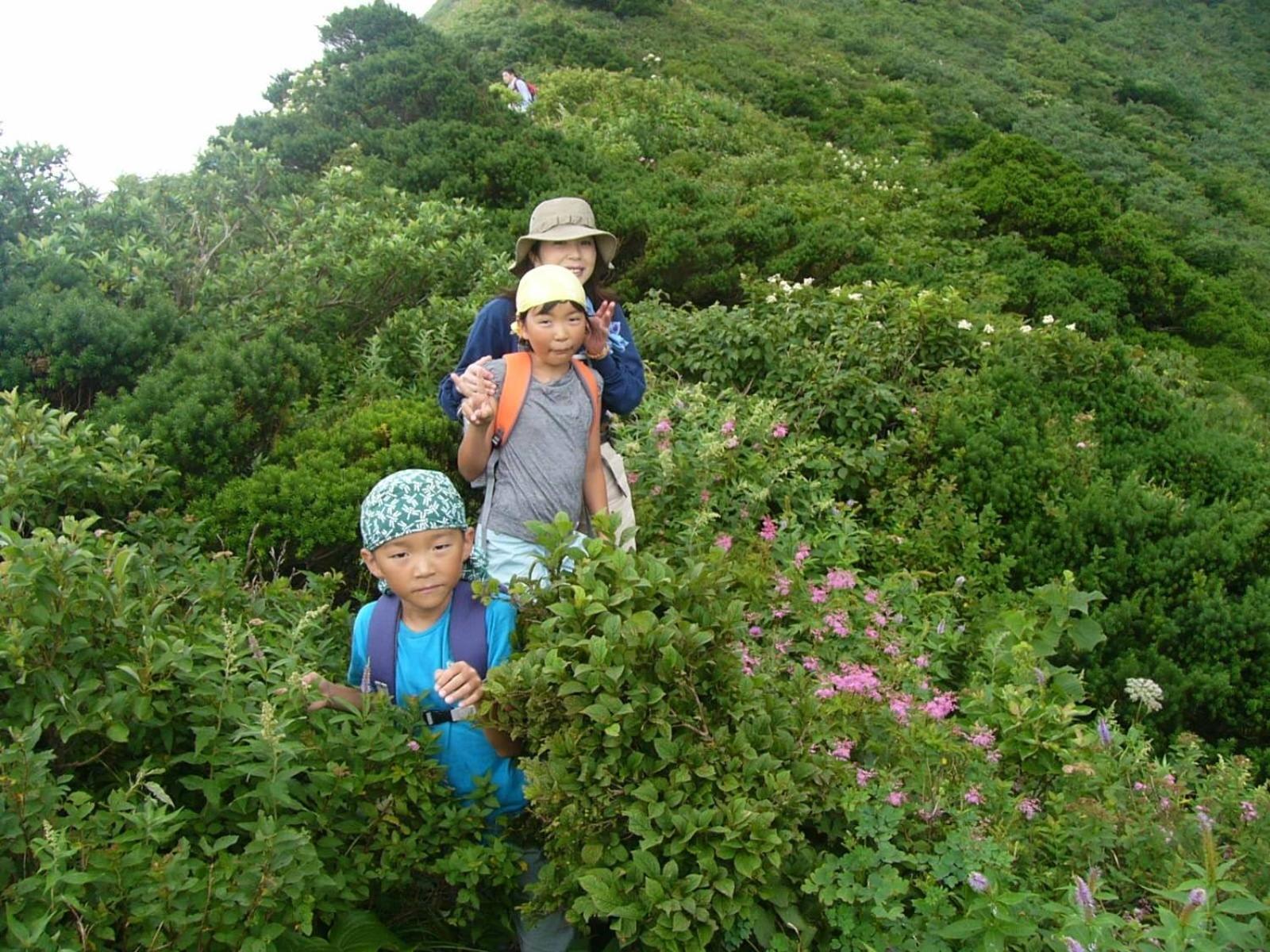 Shukubo Kansho-In Temple Sanrakuso Daisen  Eksteriør billede